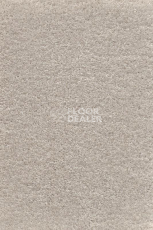 Ковролин AW Masquerade Gaudia 37 фото 1 | FLOORDEALER